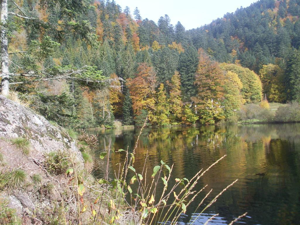 Chalet Au Bord Du Lac De Longemer クソンリュプト・ロンジュメール 部屋 写真