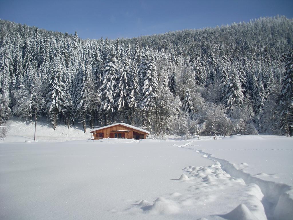 Chalet Au Bord Du Lac De Longemer クソンリュプト・ロンジュメール 部屋 写真