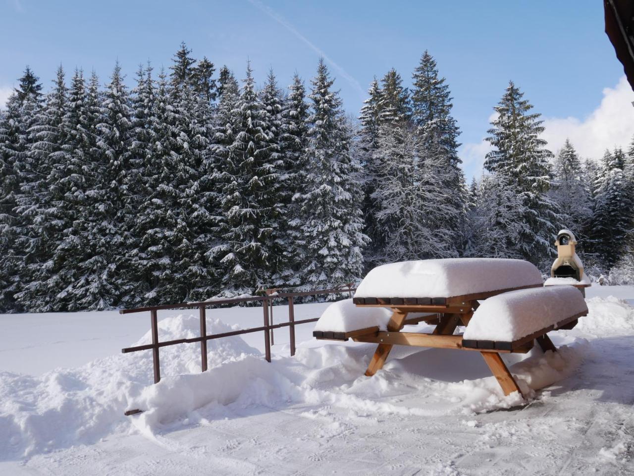 Chalet Au Bord Du Lac De Longemer クソンリュプト・ロンジュメール エクステリア 写真